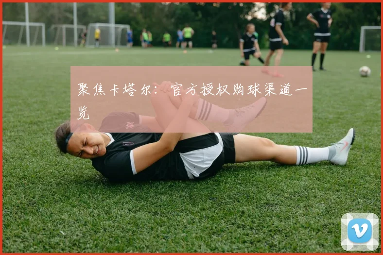 聚焦卡塔尔：官方授权购球渠道一览